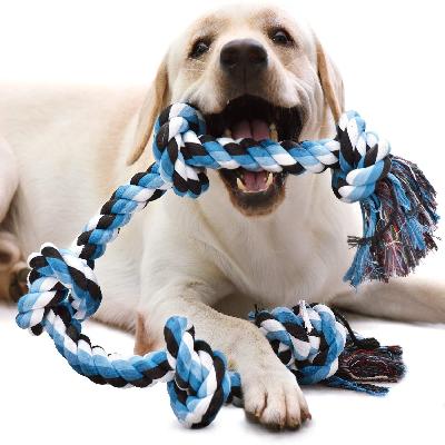Rope Dog Toy 