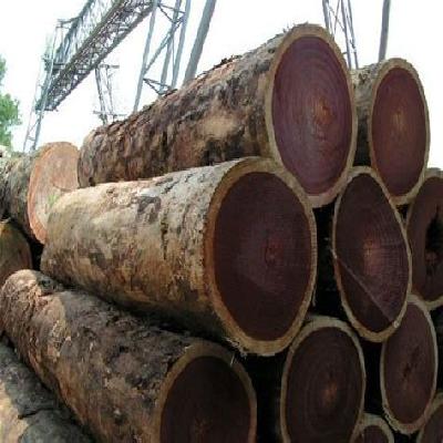 Rose Wood Logs