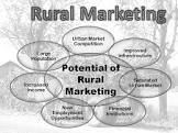 Rural Marketing Service