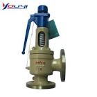 Safety Valve Casting