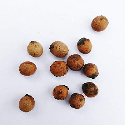Sandalwood Seed
