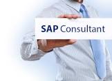 Sap Consultants