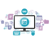 Sas Programming Services