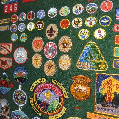 Scout Badges