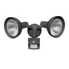 Security Light