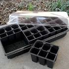 Seedling Trays
