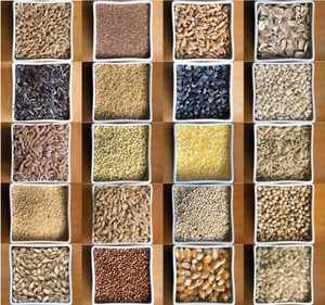 Seeds and Plant Saplings