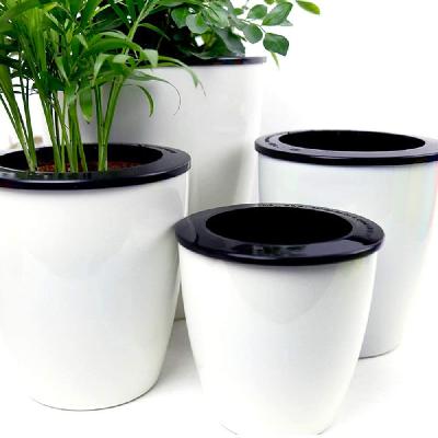 Self Watering Planters