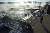 Sewage Treatment Plant Service