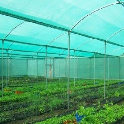 Shade Net