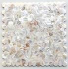 Shell Mosaic Tile