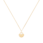 Shell Pendant