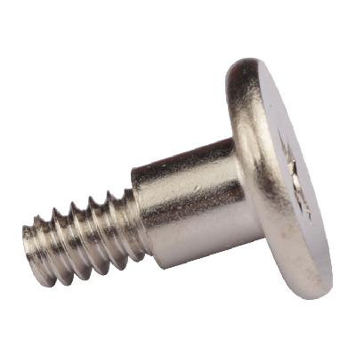 Shoulder Screw