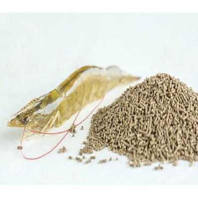 Shrimp Feed