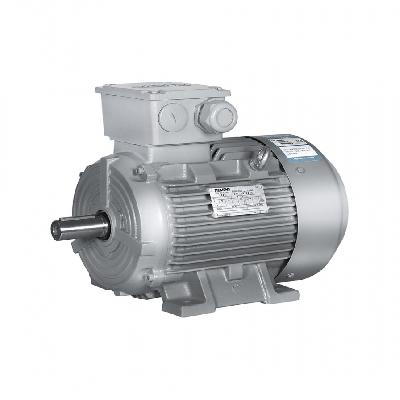 Siemens Induction Motors