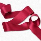 Silk Ribbon