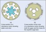 Single Phase Ac Synchronous Motor