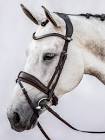 Snaffle Bridle