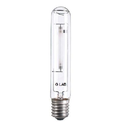 Sodium Bulb