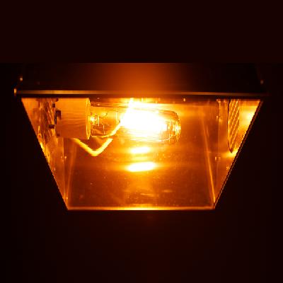 Sodium Light