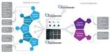 Software Asset Management