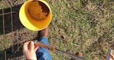 Soil Testing Services
