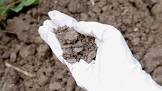 Soil Treatment