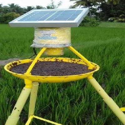 Solar Insect Trap