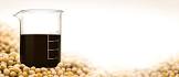 Soya Fatty Acids