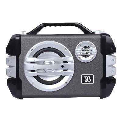 Speaker Amplifier