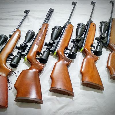 Sports Air Guns