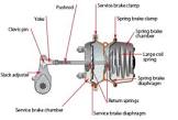 Spring Brakes