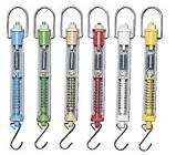 Spring Scale