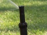 Sprinkler Head