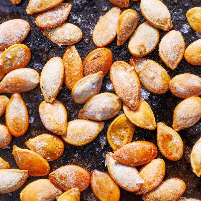 Squash Seed 