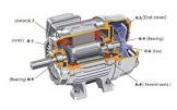 Squirrel Cage Motors