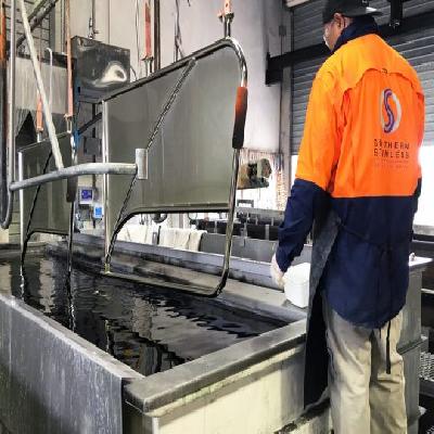 SS Electropolishing Service