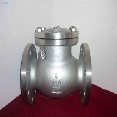 SS Non Return Valve