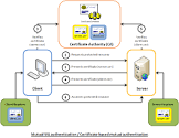 Ssl Certificate Services