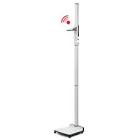 Stadiometer