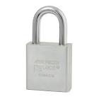 Stainless Steel Locks
