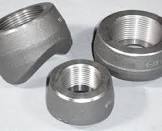 Stainless Steel Olets
