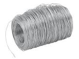 Stainless Steel Spring Wire