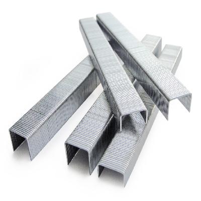 Stainless Steel Staples