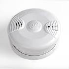 Standalone Detector