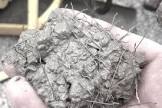Steel Fiber
