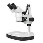Stereo Microscopes