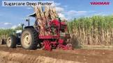 Sugarcane Planter