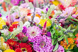 Summer Flower