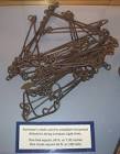 Survey Chain